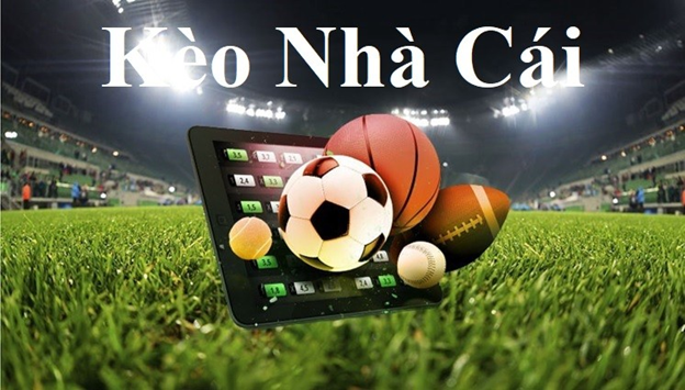 Nhà Cái T68 Bet Official Platform Cá Cược Chuyên Nghiệp